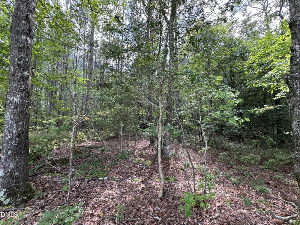 0 New Elam Church Road Moncure, NC 27559