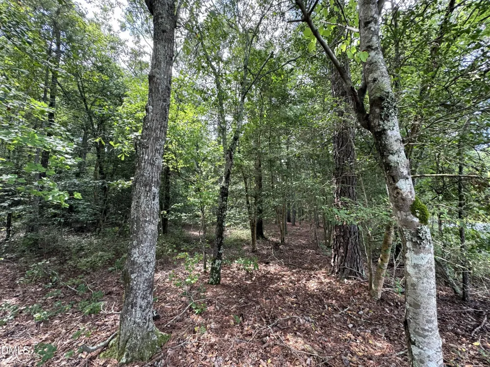 0 New Elam Church Road Moncure, NC 27559