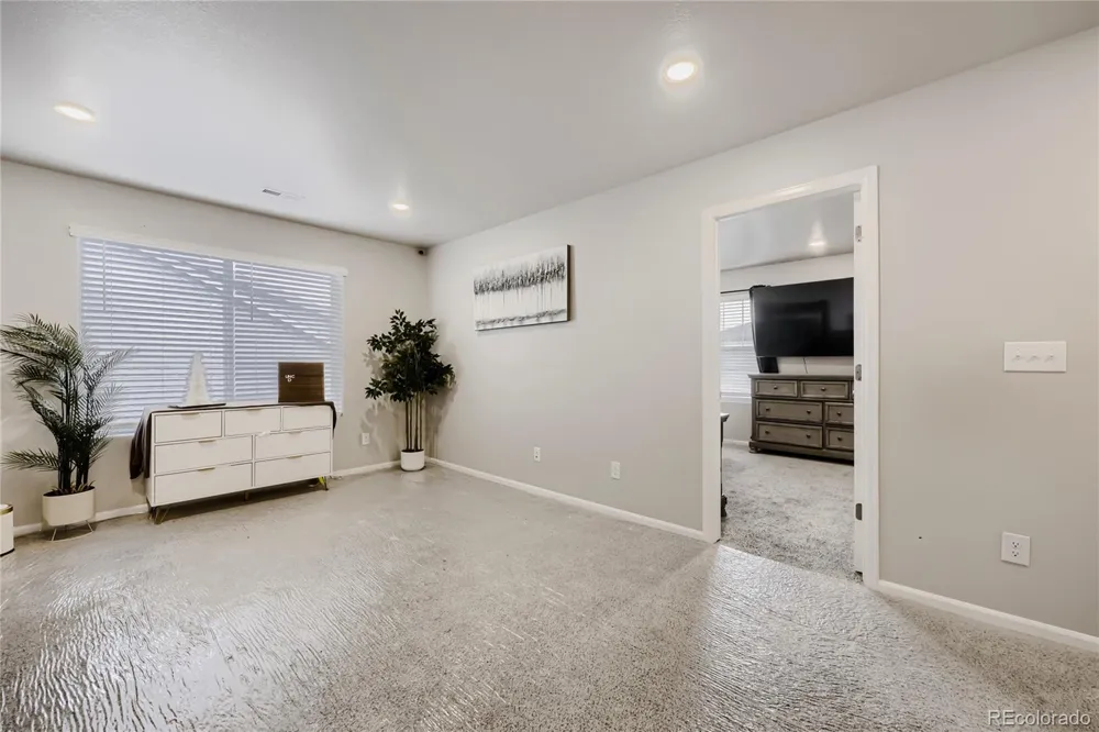 9163 Richfield Street Commerce City, CO 80022