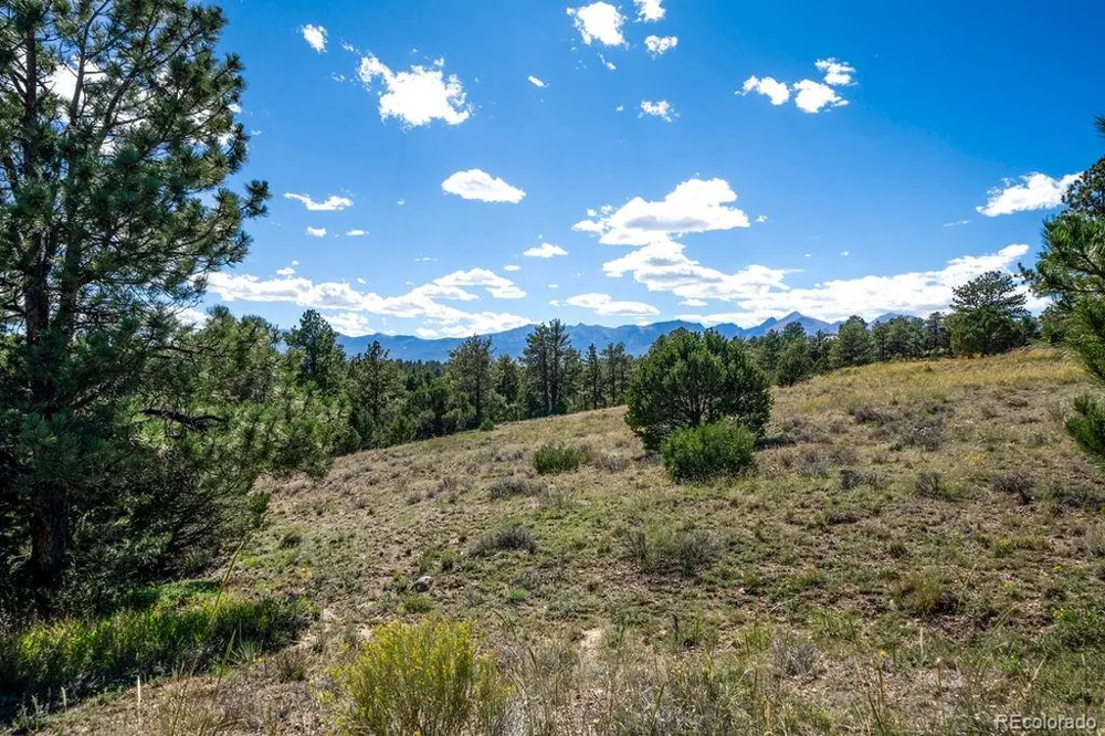 3168 Wykagyl Road Westcliffe, CO 81252