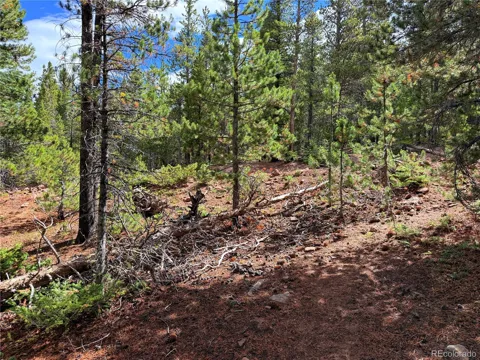 LOT 3187 Purnell Lane
