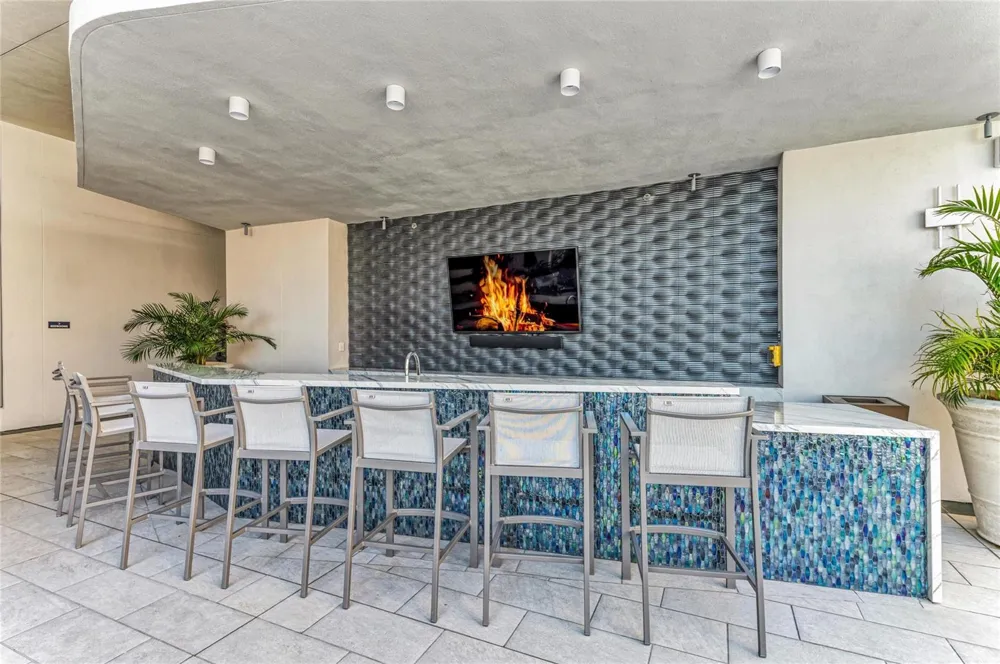 275 1ST AVENUE S #2204 St Petersburg, FL 33701