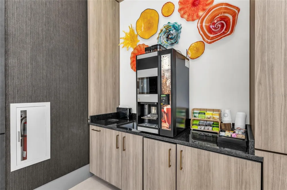 275 1ST AVENUE S #2204 St Petersburg, FL 33701