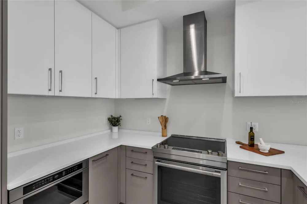 275 1ST AVENUE S #2204 St Petersburg, FL 33701