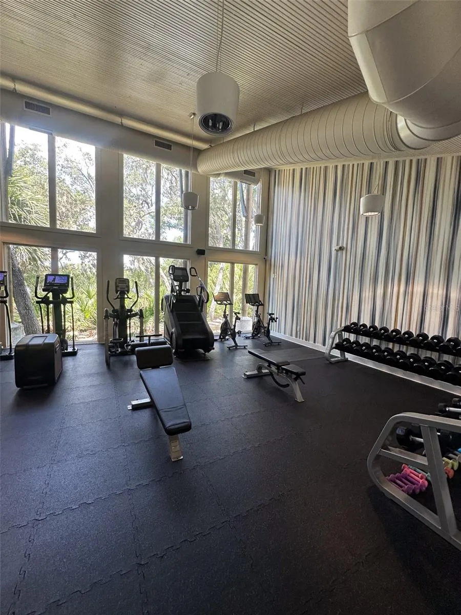 5732 SPOTTED HARRIER WAY Lithia, FL 33547