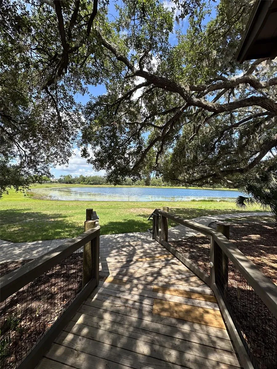 5732 SPOTTED HARRIER WAY Lithia, FL 33547