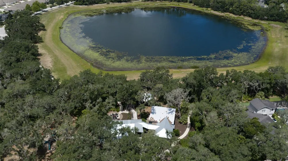 5732 SPOTTED HARRIER WAY Lithia, FL 33547