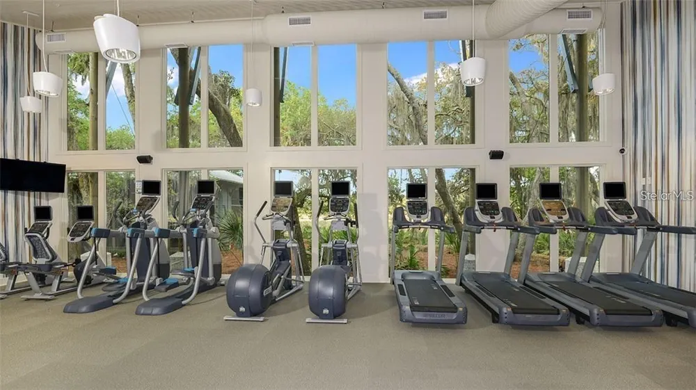 5732 SPOTTED HARRIER WAY Lithia, FL 33547
