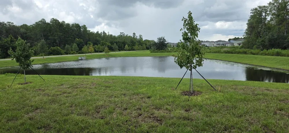 17837 17837 GRASSYBEND LOOP Land O Lakes, FL 34638