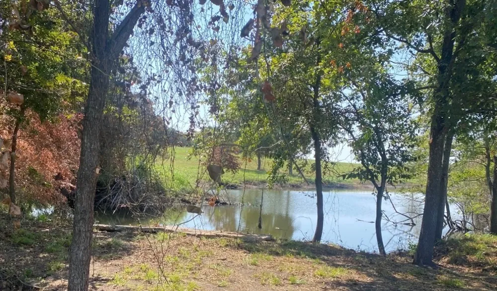 305 Sailview Court Honey Grove, TX 75446