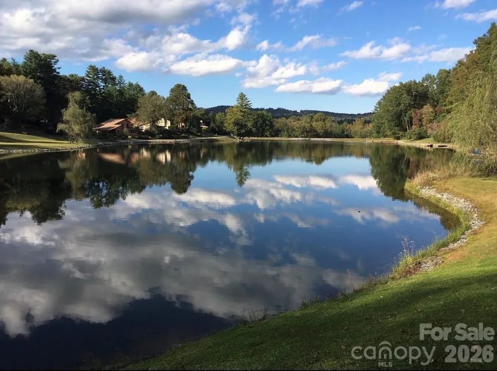 31 Willow Way Hendersonville, NC 28739