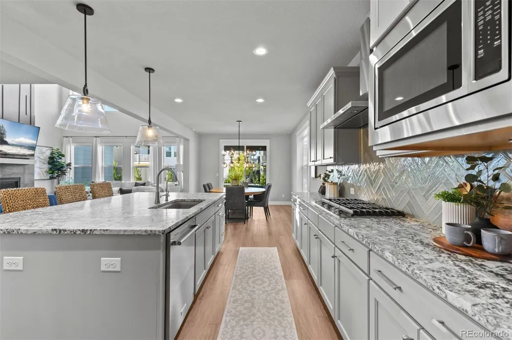 5821 Tesoro Point Parker, CO 80134