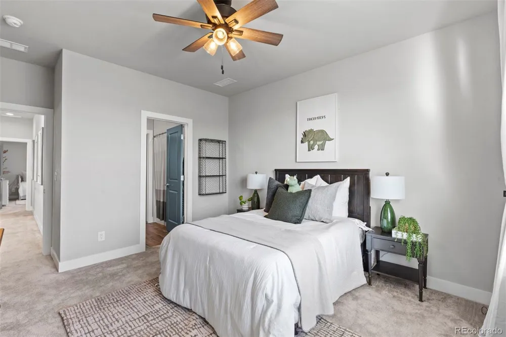 5821 Tesoro Point Parker, CO 80134