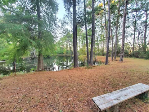 400 Pine Forest Acres