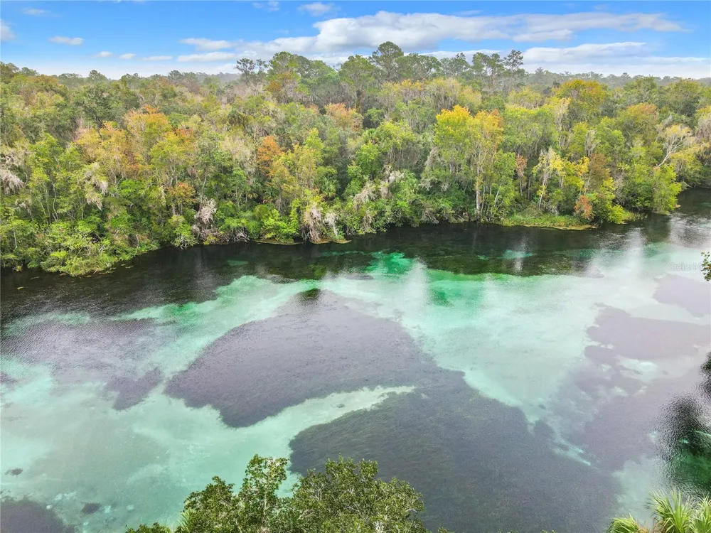19666 SW 88TH LOOP Dunnellon, FL 34432