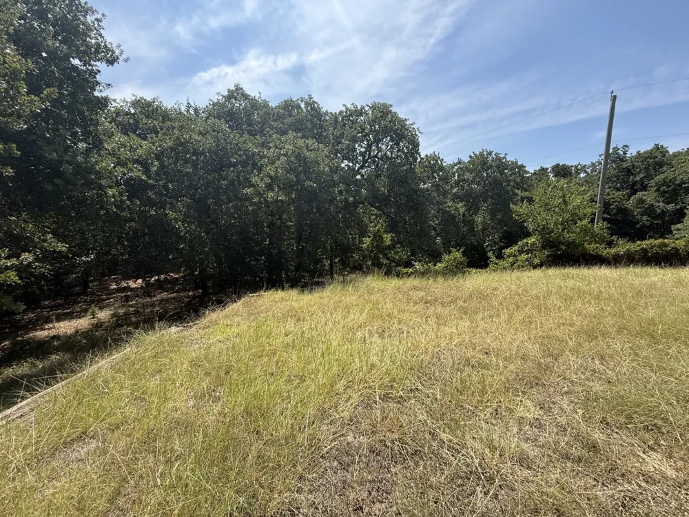 326 King Arthur Drive Weatherford, TX 76086