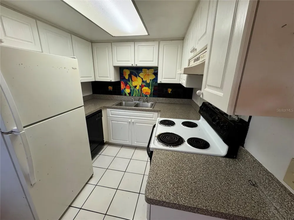 4050 4TH STREET #305 St Petersburg, FL 33703