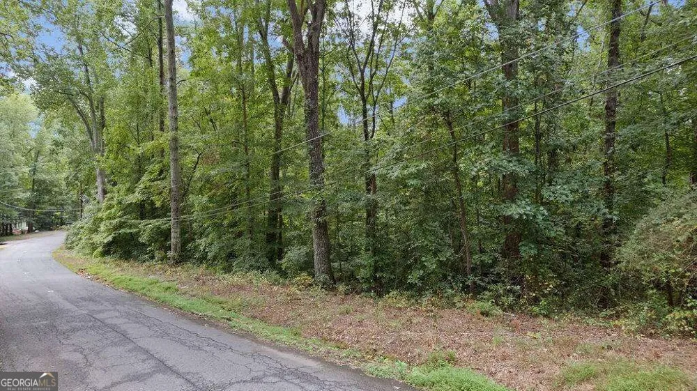 170 Wheeler Martin DR Canton, GA 30115