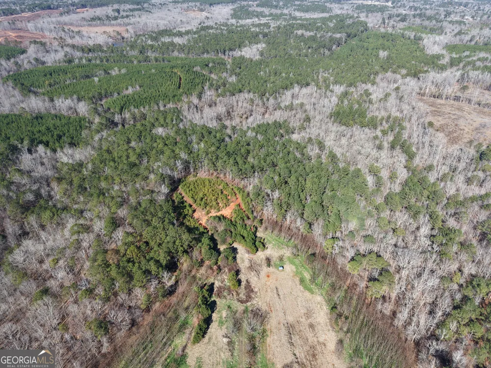 40 ACRES Pobiddy RD Thomaston, GA 30286