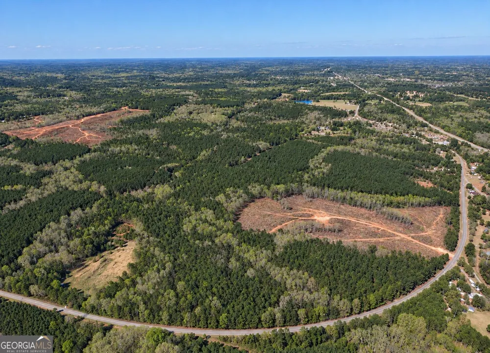 40 ACRES Pobiddy RD Thomaston, GA 30286