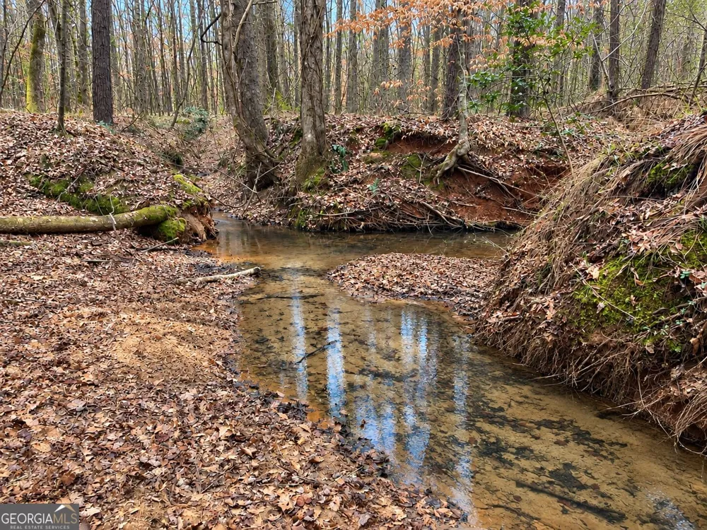 40 ACRES Pobiddy RD Thomaston, GA 30286