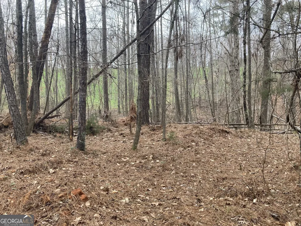 103 ACRES Pobiddy RD Thomaston, GA 30286