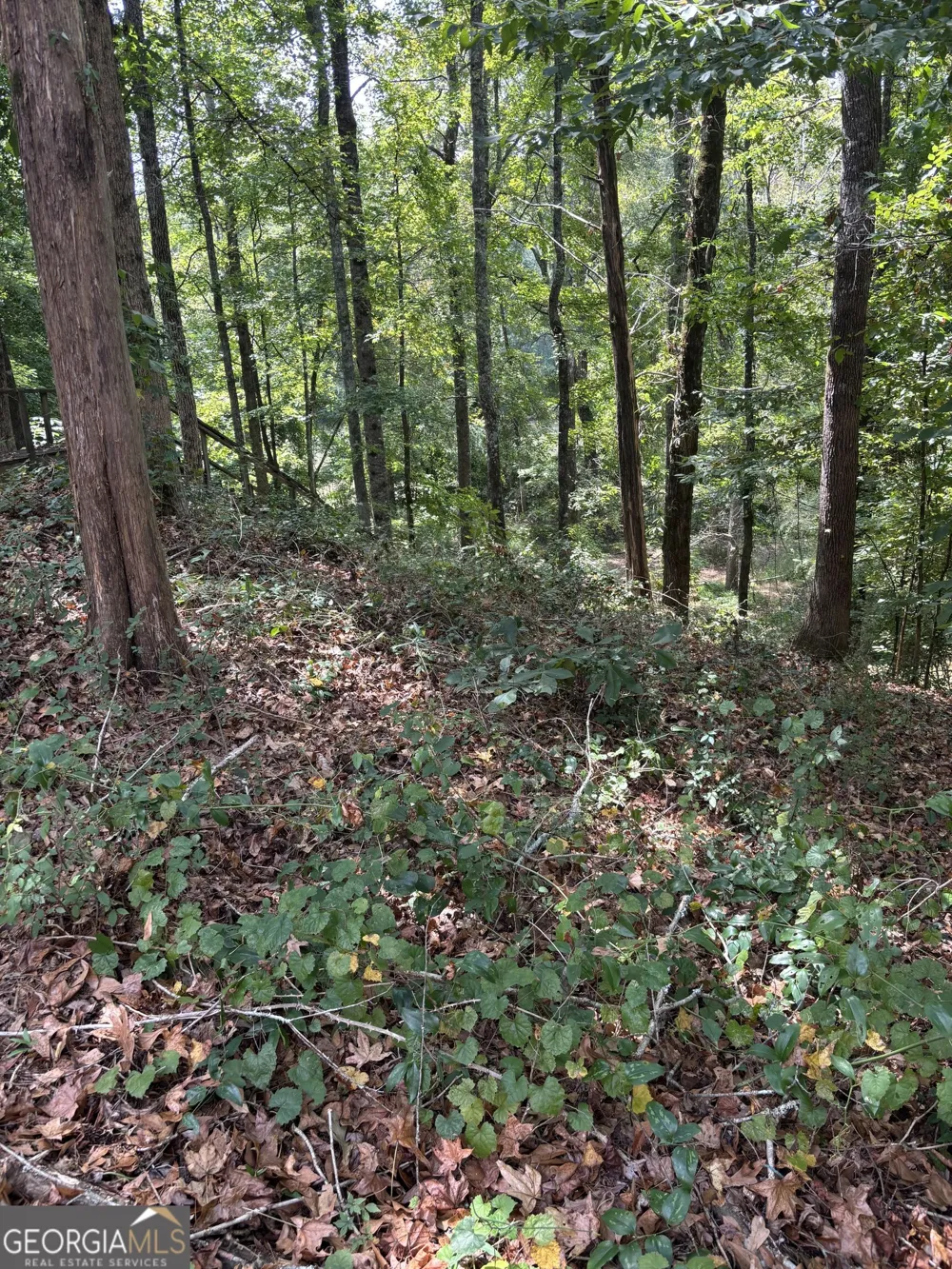 1320 Barnett RDG Athens, GA 30605