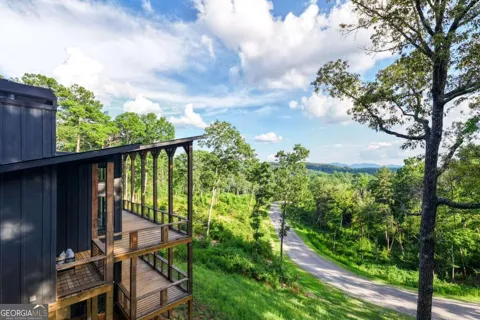 386 Mountain Laurel RDG