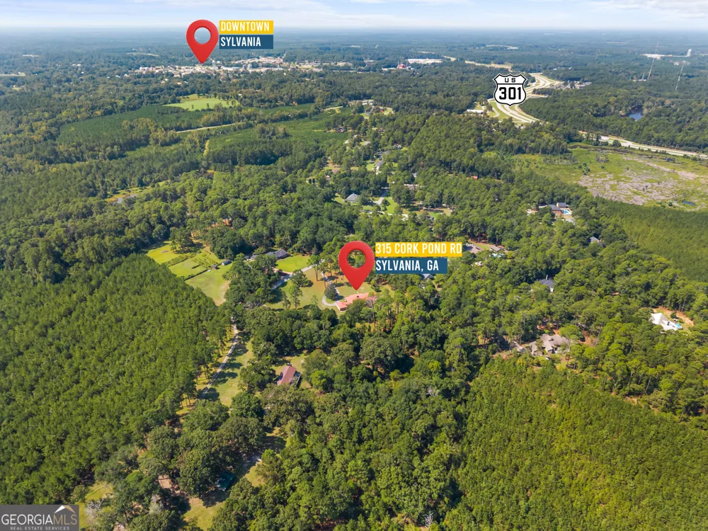 315 Cork Pond RD Sylvania, GA 30467