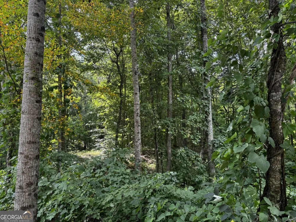J58 Bent Grass Way Clayton, GA 30525