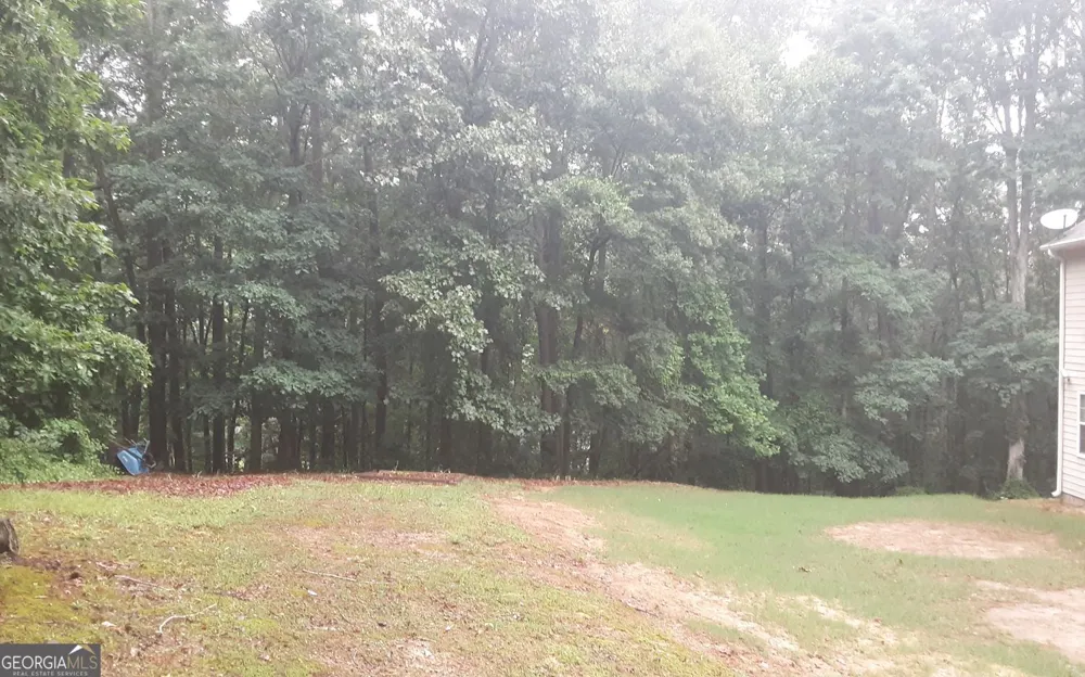 2532 Lois CT Loganville, GA 30052