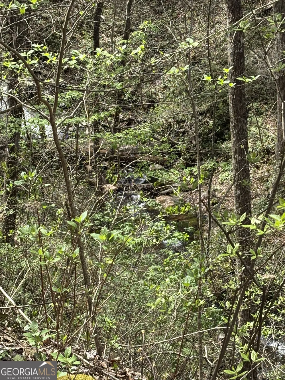 0 Laurel BR Dawsonville, GA 30534