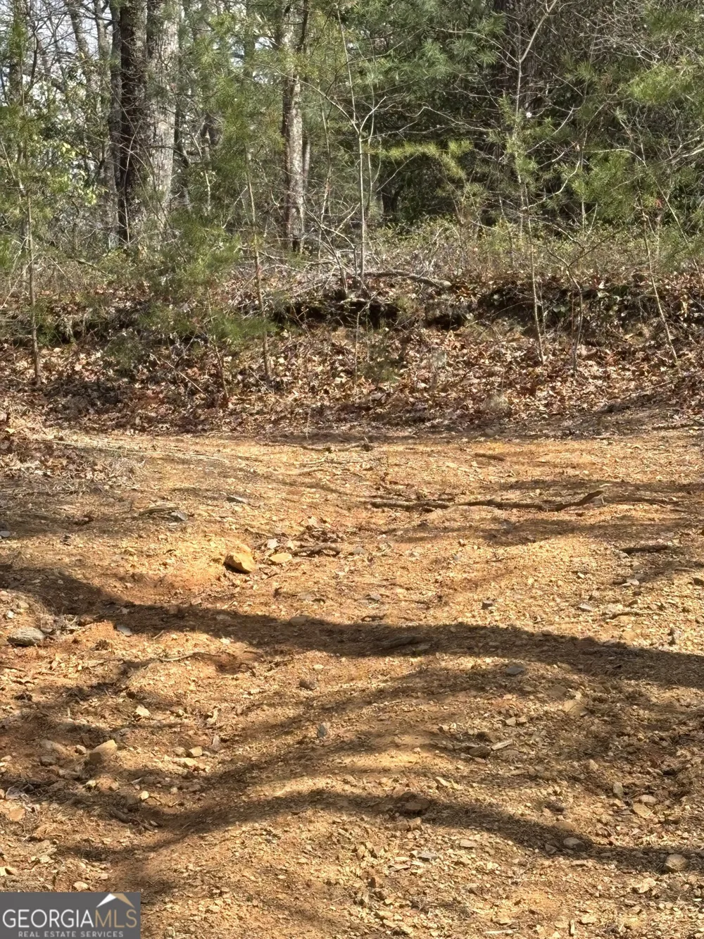 0 Laurel BR Dawsonville, GA 30534