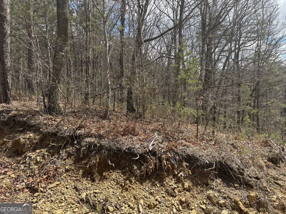 0 Laurel BR Dawsonville, GA 30534