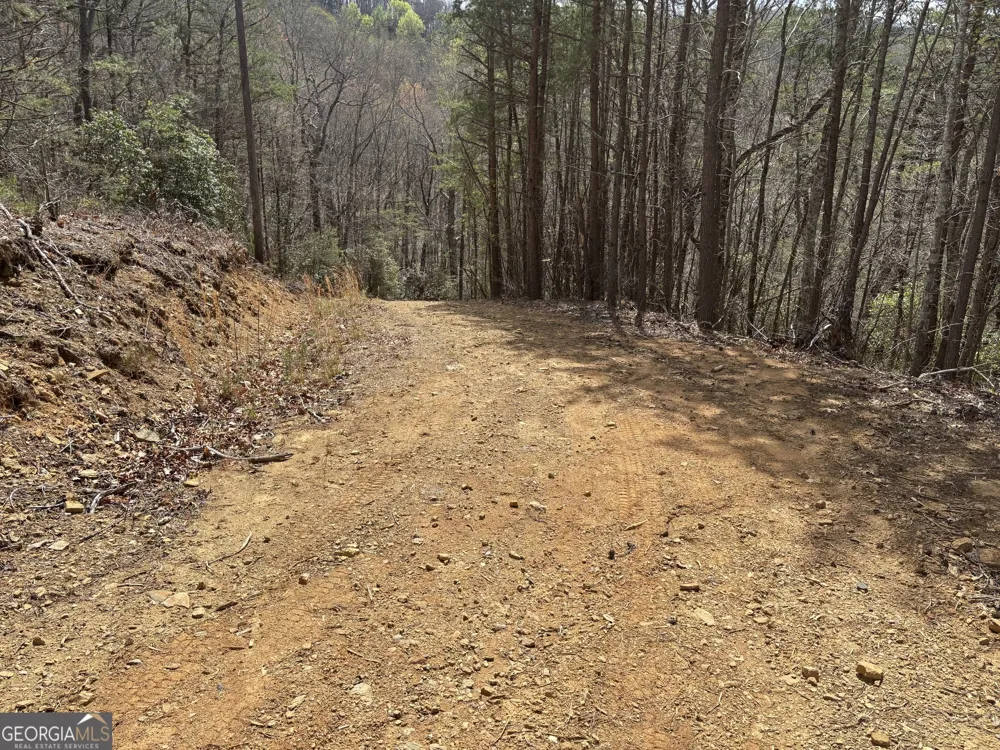 0 Laurel BR Dawsonville, GA 30534