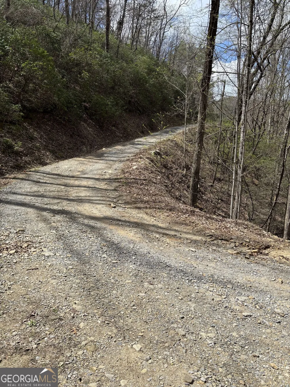 0 Laurel BR Dawsonville, GA 30534