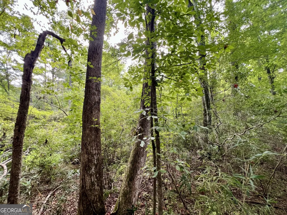 356 Sparta HWY NE Milledgeville, GA 31061