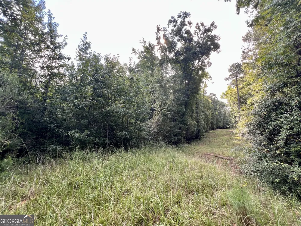 356 Sparta HWY NE Milledgeville, GA 31061