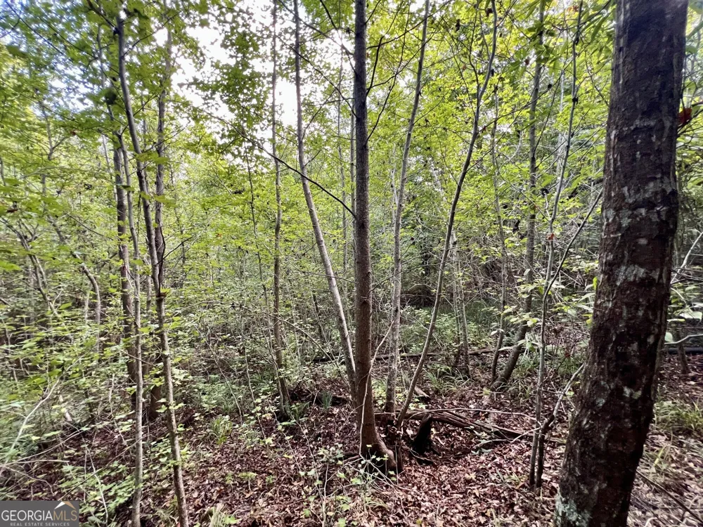 356 Sparta HWY NE Milledgeville, GA 31061