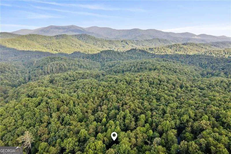 889 Granny Branch DR Blue Ridge, GA 30513