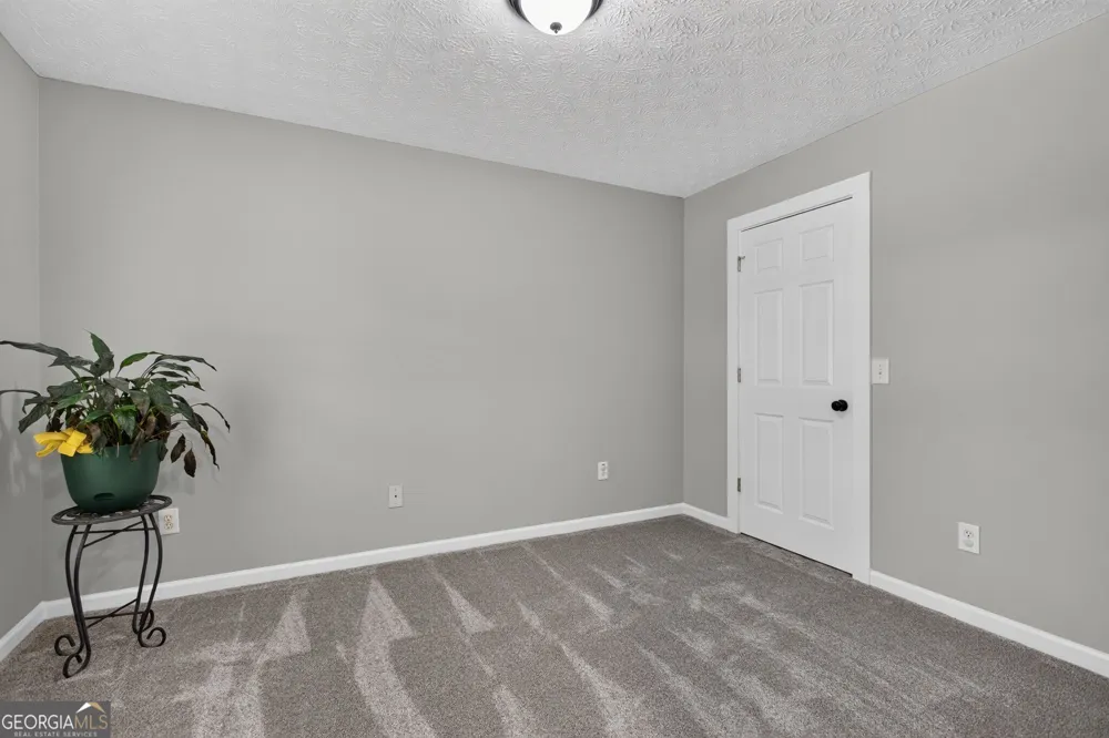 118 Nelson Oaks DR Ball Ground, GA 30107