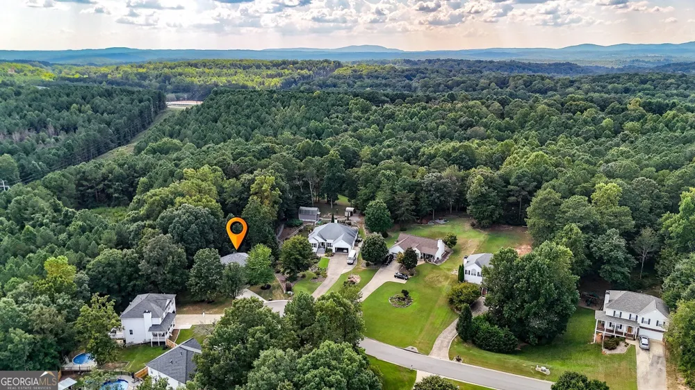 118 Nelson Oaks DR Ball Ground, GA 30107