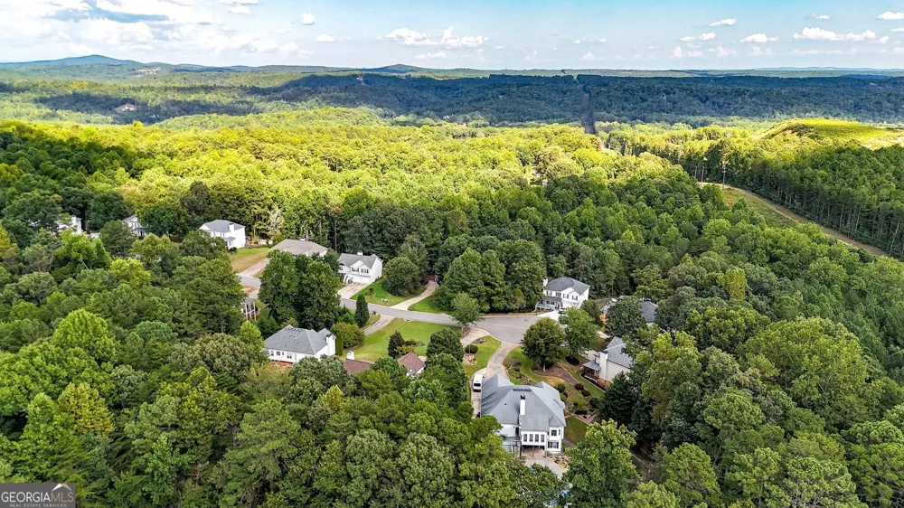 118 Nelson Oaks DR Ball Ground, GA 30107