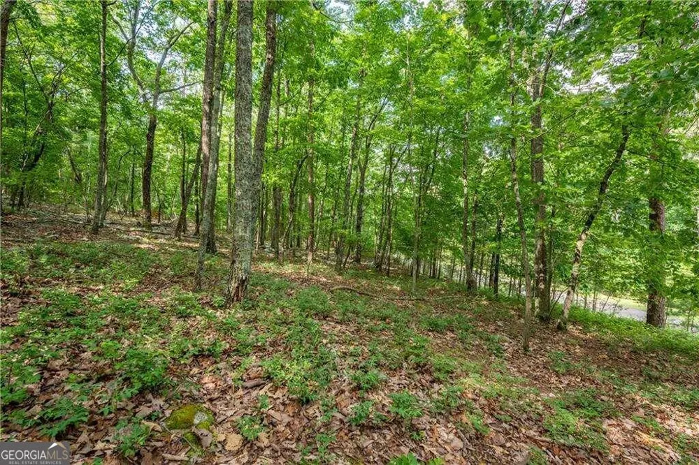 307 Stonehaven CT Jasper, GA 30143