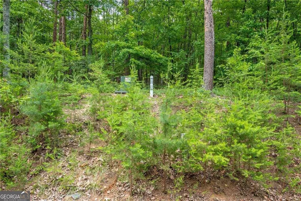 307 Stonehaven CT Jasper, GA 30143