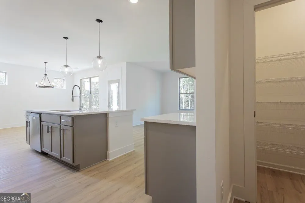 3277 Wild Clary CT Buford, GA 30519