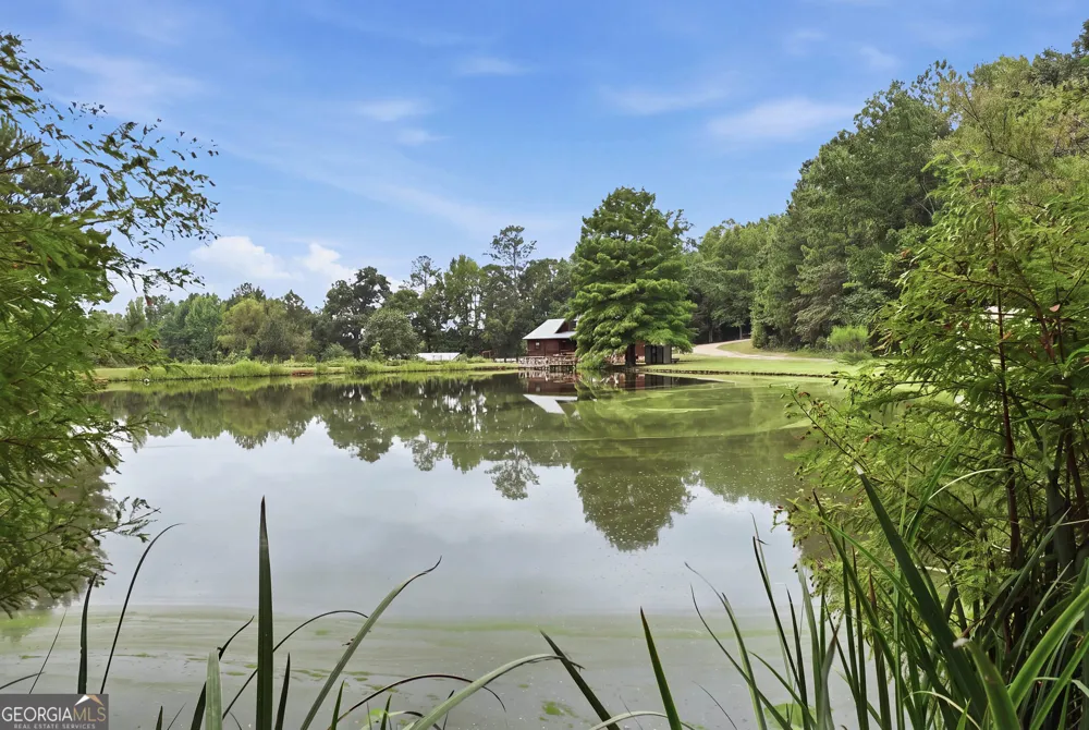 2342 Davis Brothers RD Richland, GA 31825