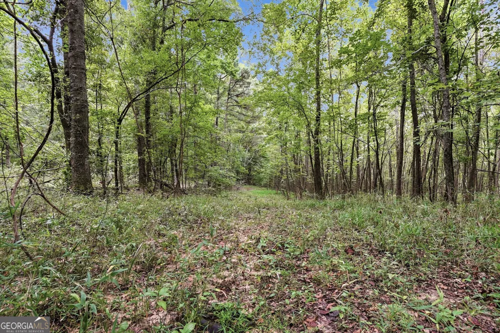 2342 Davis Brothers RD Richland, GA 31825