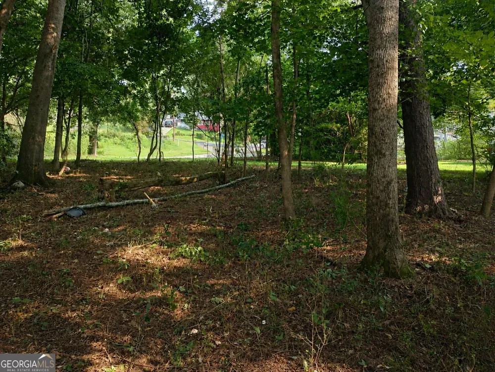 10218 Red Bridge CT Jonesboro, GA 30238