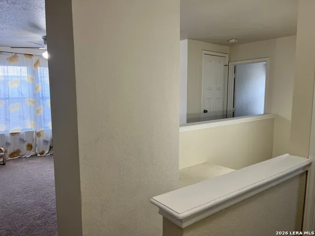 8019 Thicket Pass San Antonio, TX 78254
